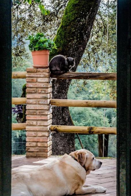 Casa Rural Alicia Cortegana Exteriér fotografie