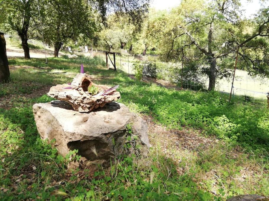Casa Rural Alicia Cortegana Exteriér fotografie